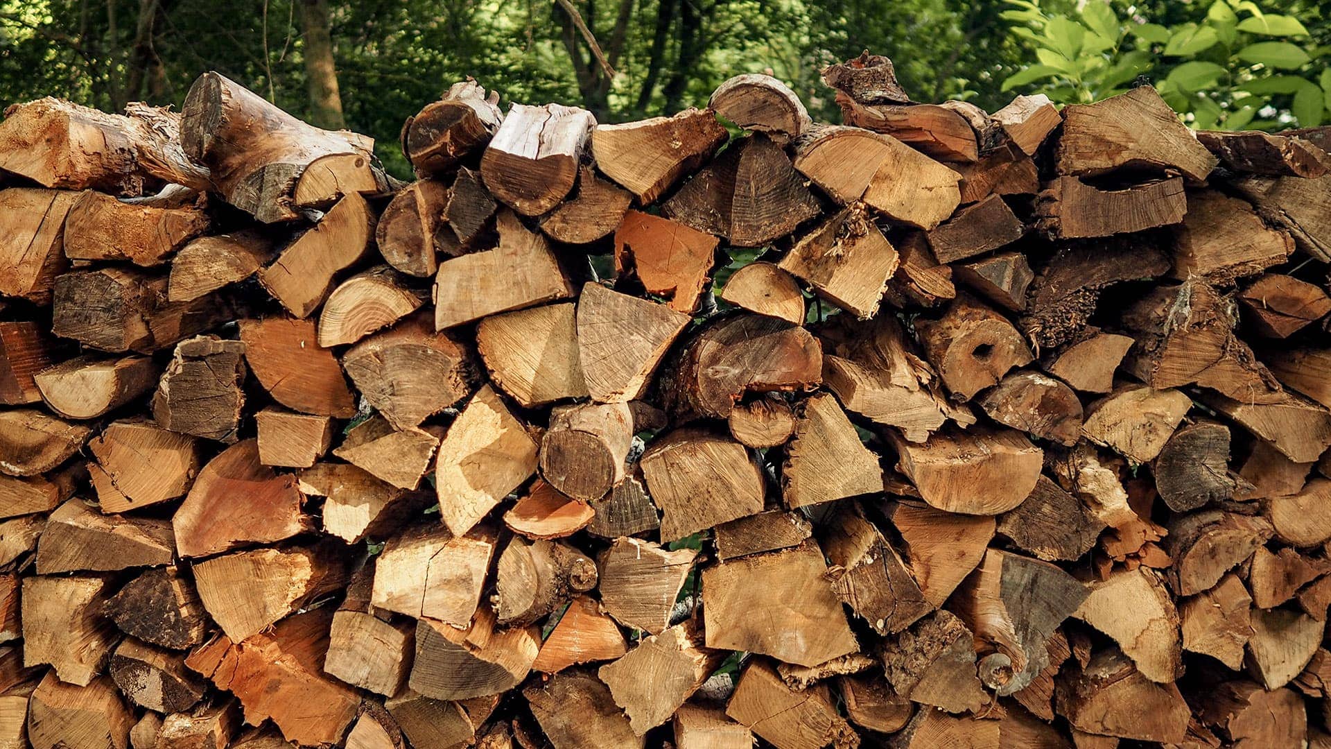 Oak Firewood